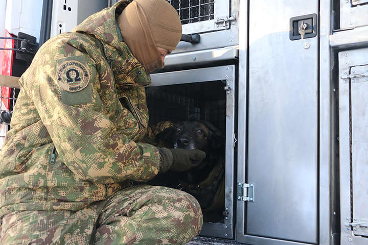 Національна гвардія потурбувалася про службових собак (відео)