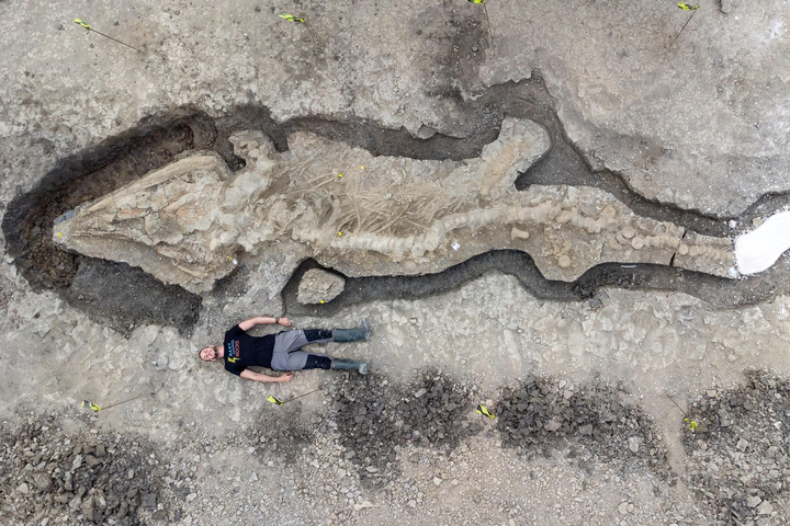 Археологи обнаружили останки «морского дракона», которым более 180 млн лет (фото)