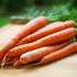 <p>З кінця грудня минулого року морква подорожчала в середньому на 19%</p>