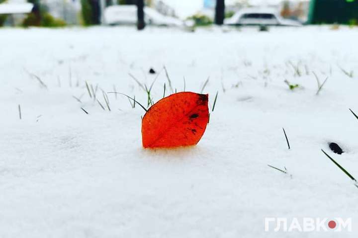 У п'ятницю 14 січня потепління охопить більшу частину України - Гідрометцентр попереджає про аномальні перепади температури 13 січня