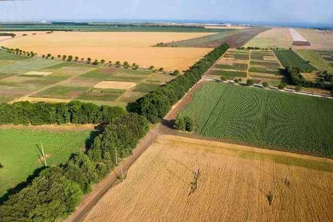 В Україні помітно подорожчала земля сільськогосподарського призначення