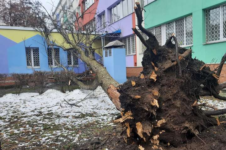 Дерева вивертає з корінням: буревій наробив лиха в Києві (фото)