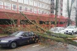 Білорусь накрила негода: сотні повалених дерев та здута вітром новорічна ялинка
