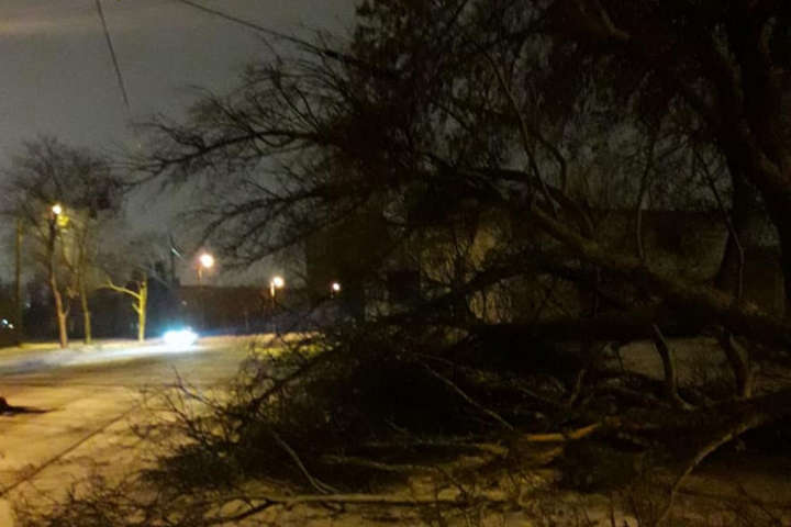 Буревій повалив дерева та зірвав дахи будинків у Харкові (фото, відео)