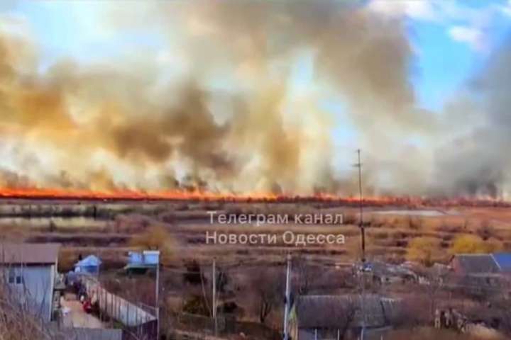 Гасіння ускладнюється через сильний вітер - На Одещині горить національний парк (відео)