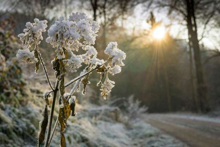 Очікується незначне похолодання: прогноз погоди на 16 січня в Україні