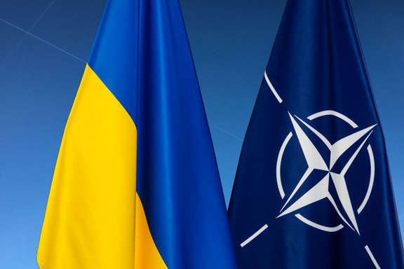Українець пропонує НАТО забрати його землю під військову базу 
