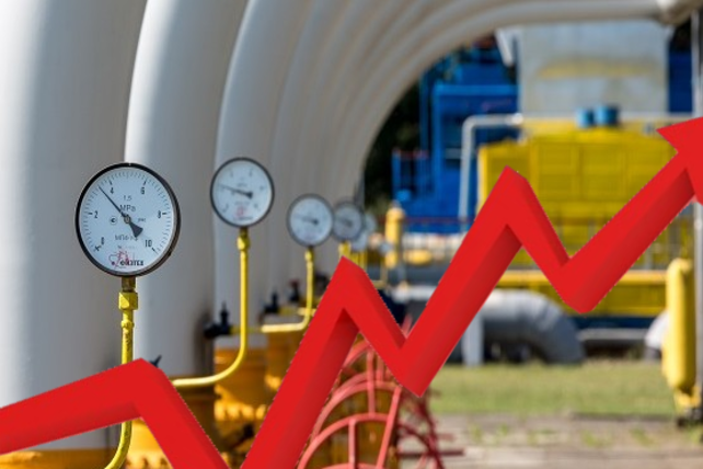 Госрегулирование цен на газ усилит экономический кризис, – эксперт