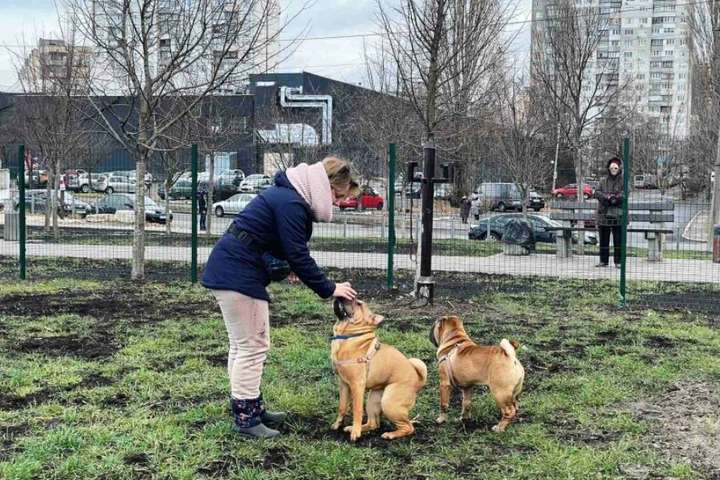 У Києві з’явилися дев’ять майданчиків для тварин: де облаштували