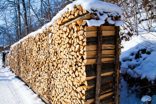 В Україні злетіли ціни на деревину 