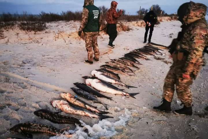 На Херсонщині браконьєри порибалили на 4,5 млн грн (фото)