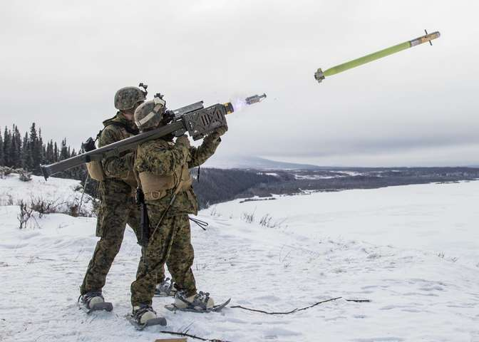 Страны Балтии вооружат украинскую армию «Джавелинами» и «Стингерами»