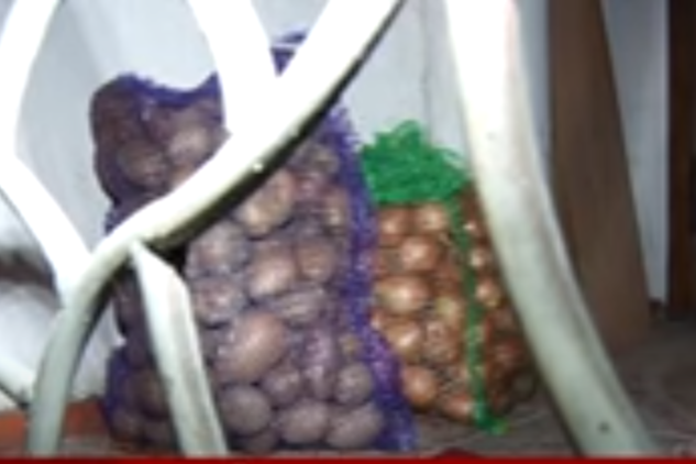 У Житомирі колядники обікрали чоловіка, а тоді принесли продукти назад із «бонусом» (відео)