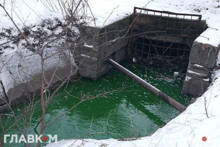 У річці посеред Києва вода стала ядучо-зеленою - Київський еколог назвав причини позеленіння води у річці Сирець