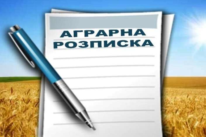 Аграрні розписки через недобросовісних фермерів можуть зникнути з ринку України