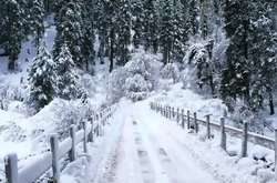 Морози до -17 та сніг: прогноз погоди на 25 січня в Україні