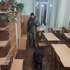 Правоохоронці шукають вибухівку у школах Львова