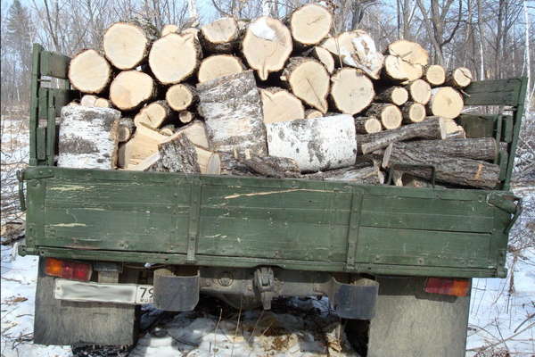 Екоінспекція заблокувала нелегальні перевезення деревини на Вінниччині