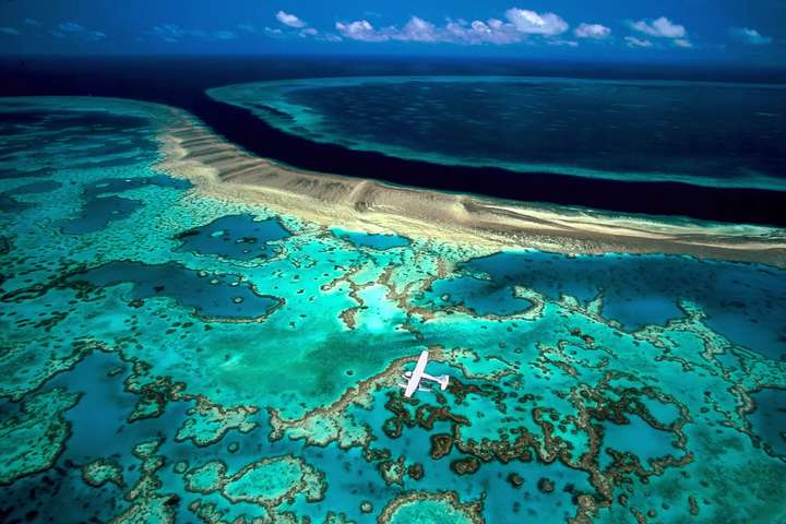 Австралія виділить $700 млн на порятунок Великого бар'єрного рифу
