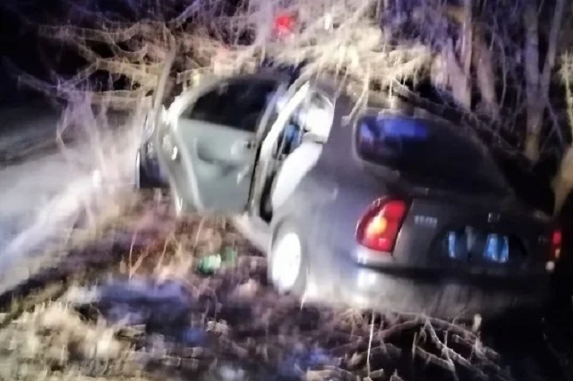 На Черкащині авто врізалося в дерево: четверо загиблих та один травмований