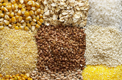 Гречневая крупа лишилась лидерства среди предпочтений украинцев