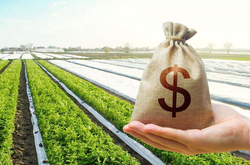 Реально ли получить безвозмездно землю в собственность: мнение эксперта 