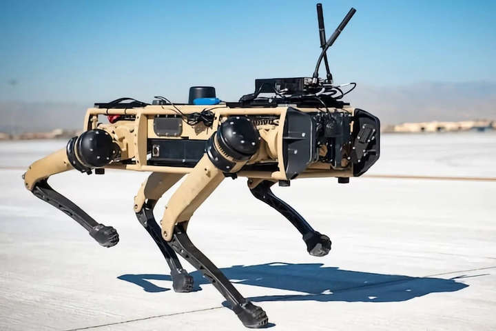 Кордони США охоронятимуть собаки-роботи (відео, фото)