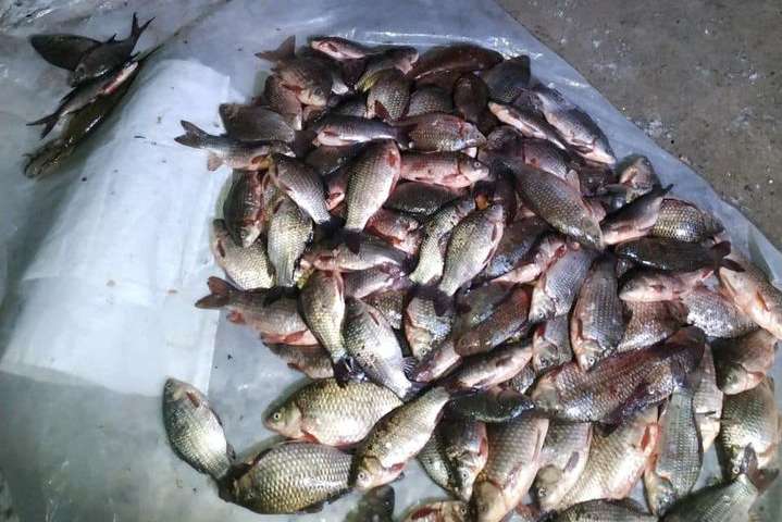 На Вінниччині браконьєри порибалили на понад 200 тис. грн