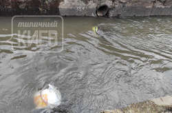 Річка Либідь потопає у смітті: фото 