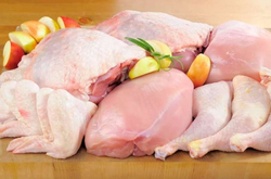 Мелкие и средние производители мяса птицы могут оказаться на грани вымирания 