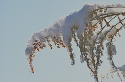 14 февраля: какой сегодня праздник, приметы и запреты