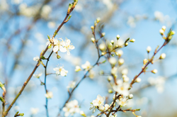  Березень у Києві цього року буде холодний 