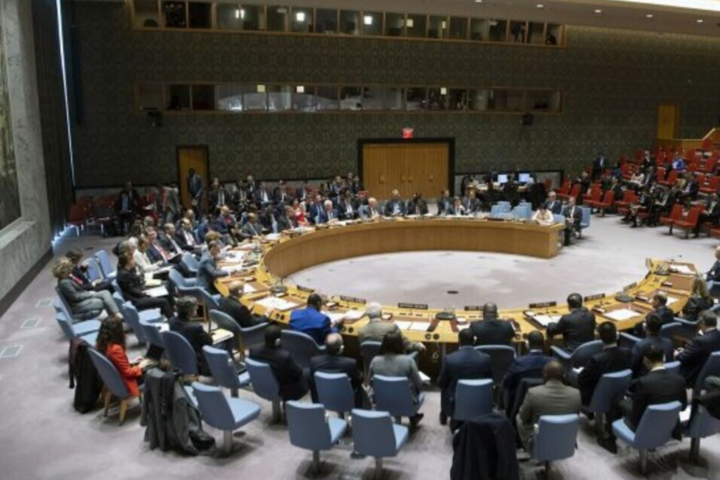 Заклик «ЛДНР» до Путіна: Україна ініціювала термінове засідання Радбезу ООН