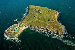 Пограничная служба объяснила, как оккупанты захватили Змеиный