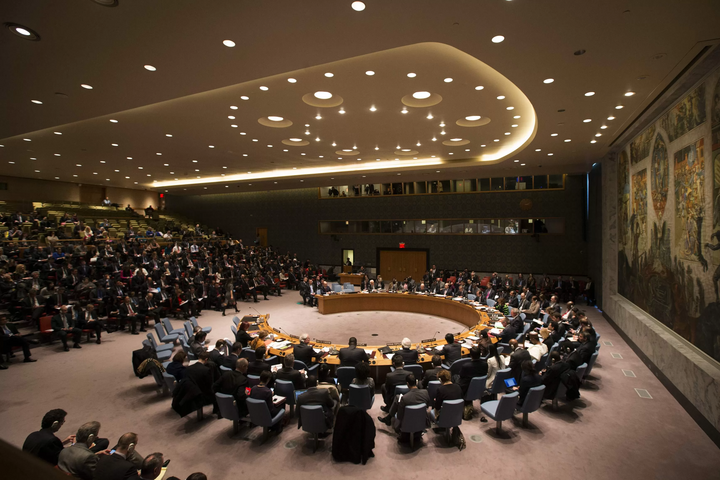 Депутат Бундестагу: Росія має утриматися від голосування у Раді безпеки ООН