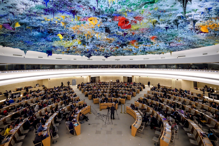 Совет ООН одобрил резолюцию по расследованию преступлений России