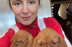 Хамайко и Попов приютили собак, спасенных от войны