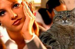 Стала известна судьба знаменитого кота-блогера Степана из Харькова