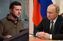 Зустріч Путіна та Зеленського може відбутися у найближчі тижні