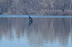Над Києвом ППО збила російську ракету (фото)