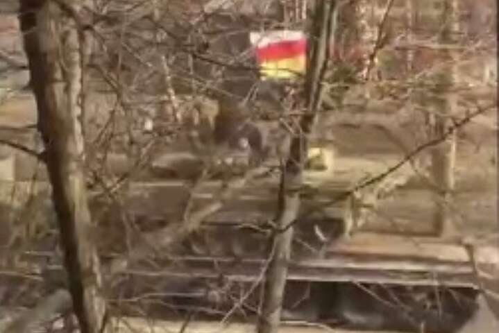 Окупованим Мелітополем проїхала військова техніка під прапорами Південної Осетії (відео)