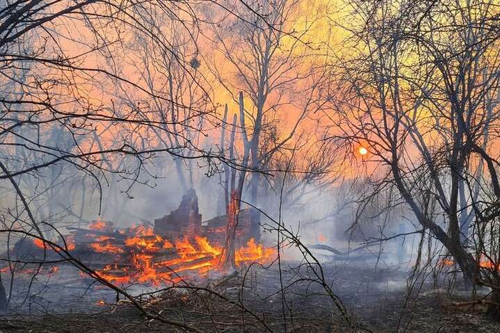 Рятувальники спростували інформацію про пожежі в Чорнобильській зоні 