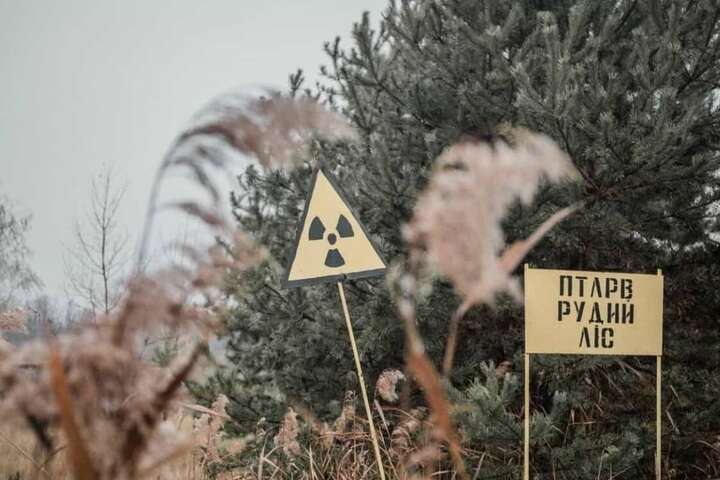 Окупанти підняли хмари радіоактивного пилу в Рудому лісі поблизу Чорнобиля