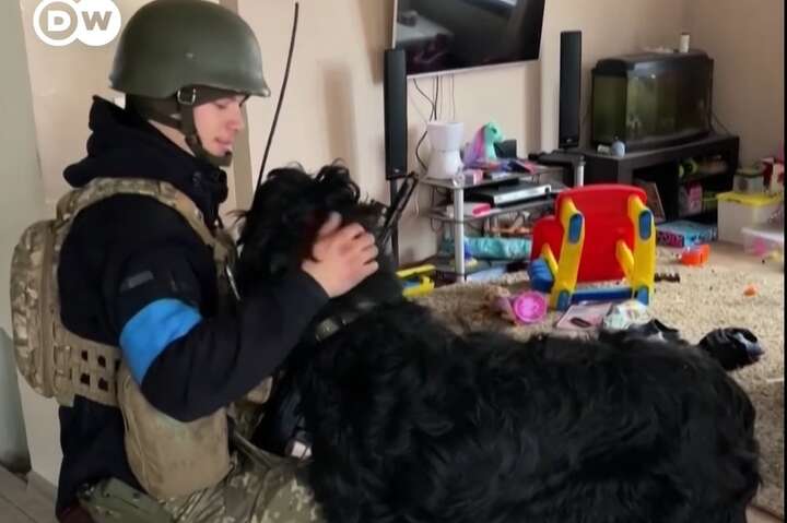 Як пес з Ірпеня радісно зустрів українських визволителів (відео)