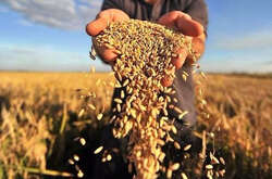  Російський окупант веде цілеспрямовану політику з повного знищення інфраструктури сільського господарства України 