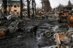  Россияне пришли в Украину, чтобы уничтожить ее 