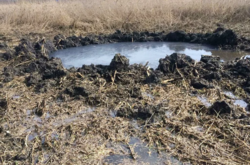 У болоті біля селища Дракіно після падіння утворилася вирва