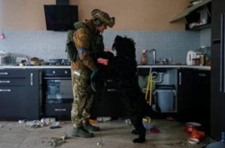Пес, залишений господарями в зруйнованому будинку під Києвом, зустрічає свого рятівника