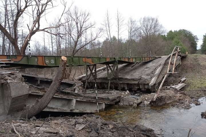 На Чернігівщині зруйновано 16 мостів. Де вже зводяться тимчасові переправи (фото)