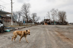 Збройні сили України повертають контроль над селами на Херсонщині